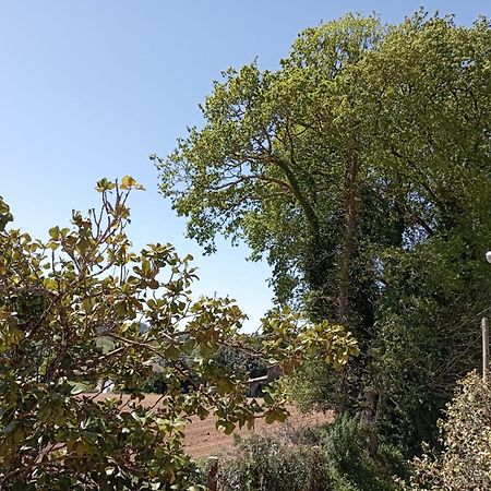A Casa Do San Paio De Buscas Apartment Ordes Екстериор снимка