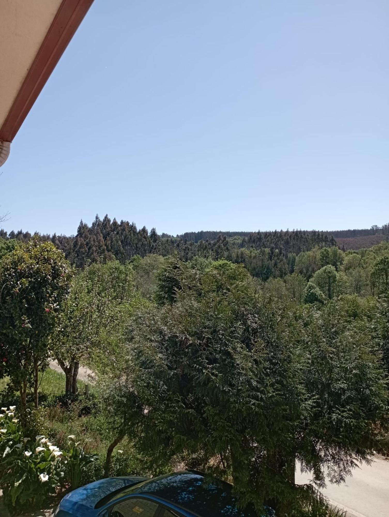 A Casa Do San Paio De Buscas Apartment Ordes Екстериор снимка