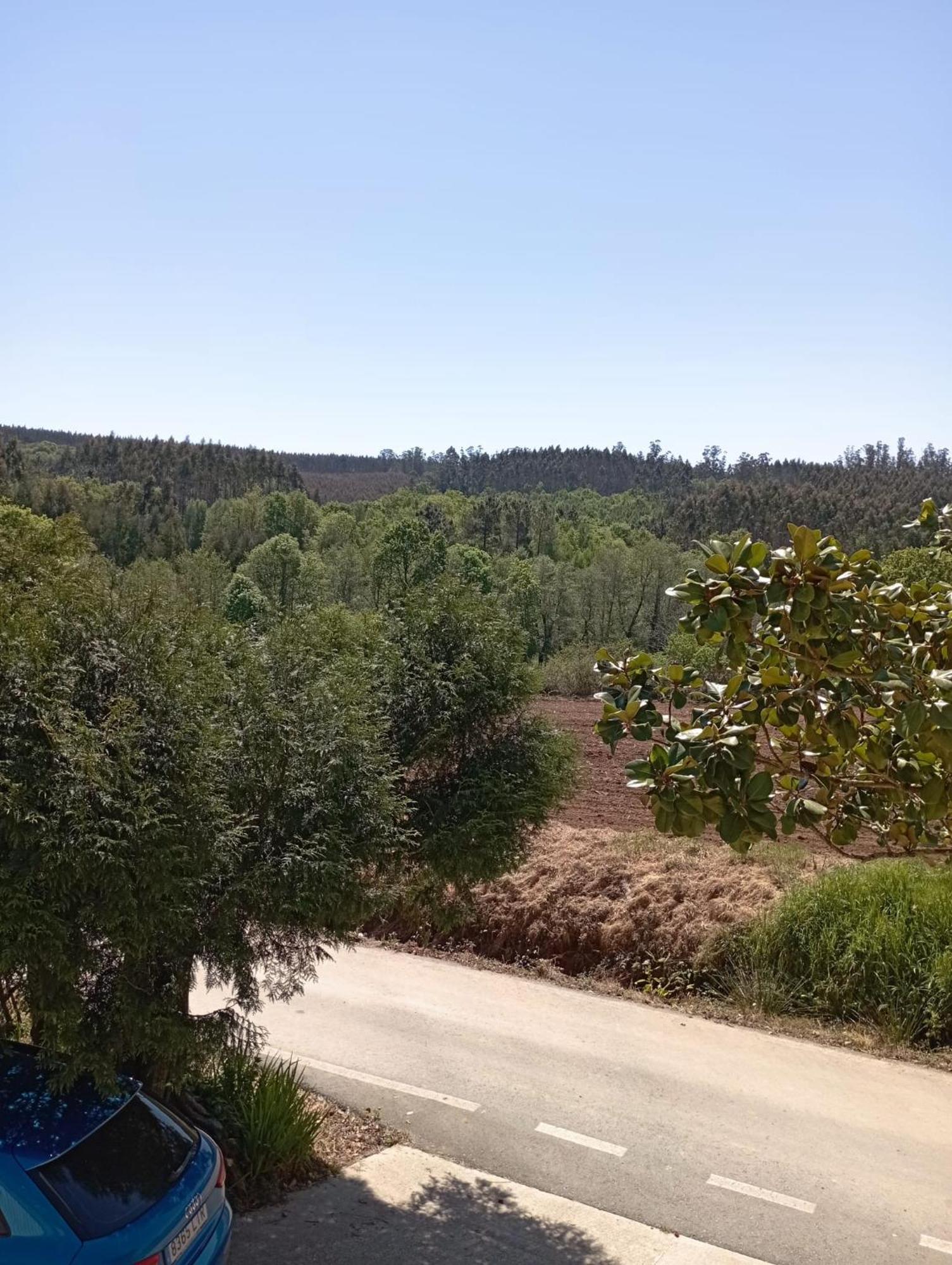 A Casa Do San Paio De Buscas Apartment Ordes Екстериор снимка