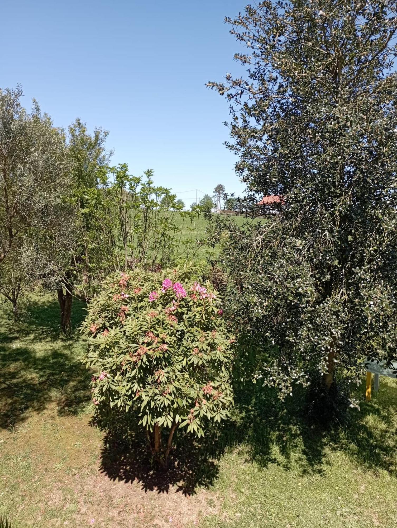 A Casa Do San Paio De Buscas Apartment Ordes Екстериор снимка