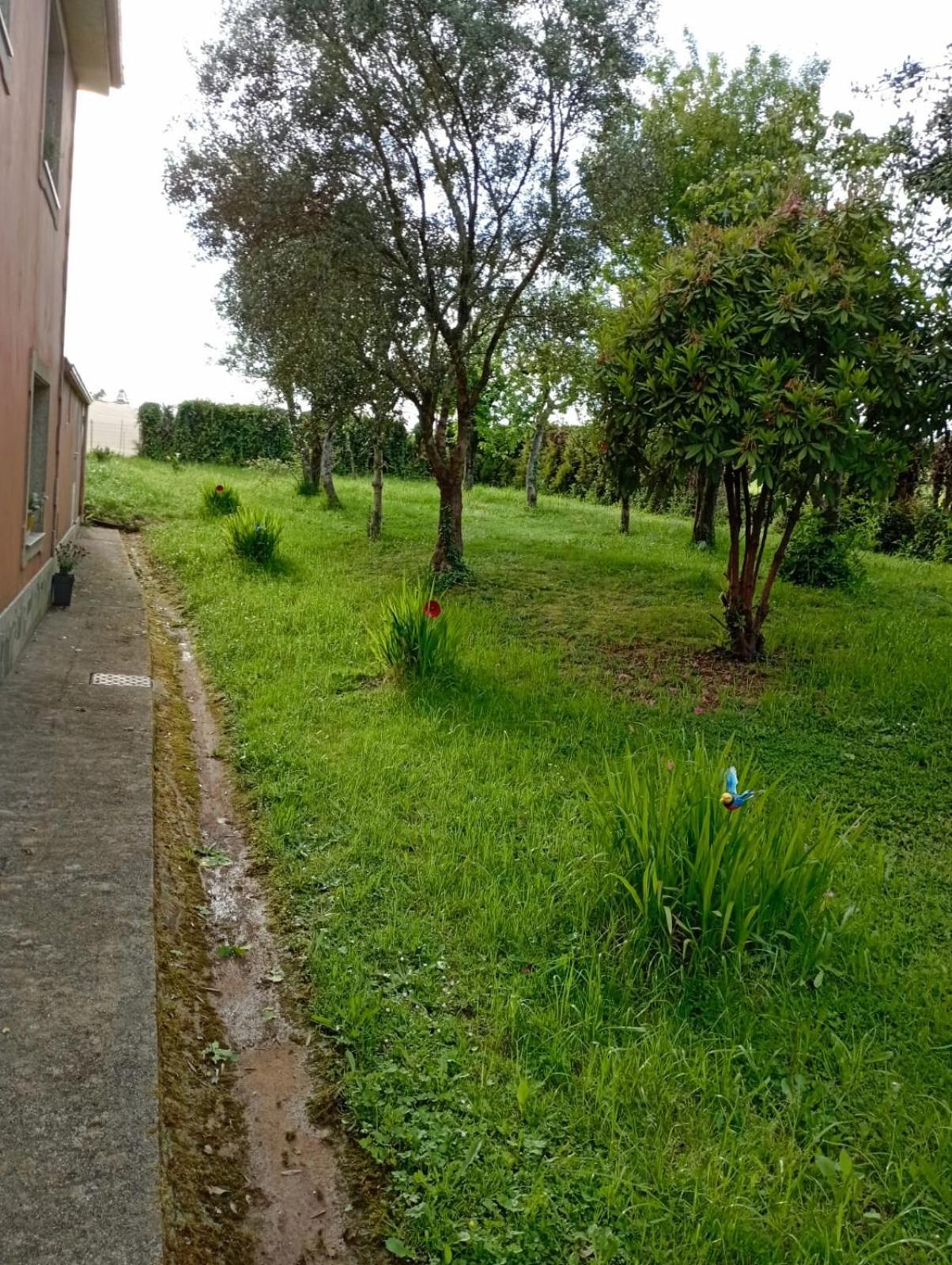 A Casa Do San Paio De Buscas Apartment Ordes Екстериор снимка