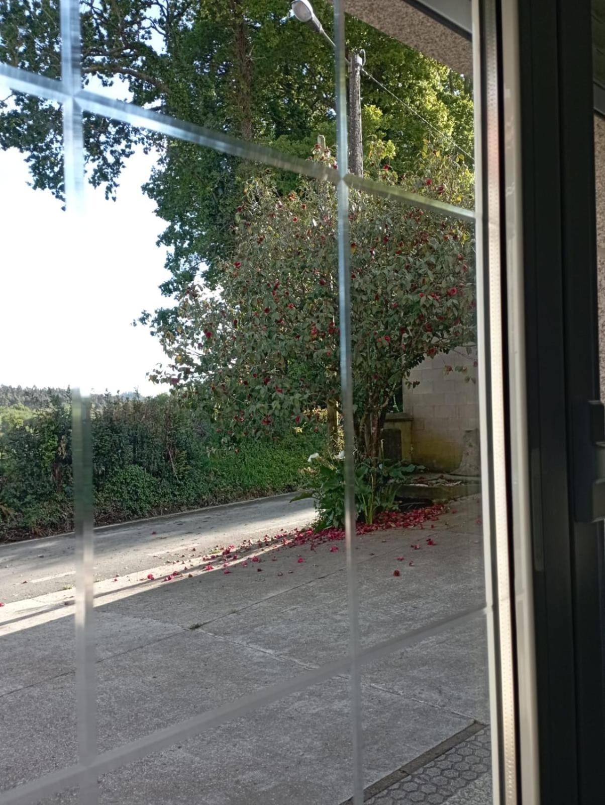 A Casa Do San Paio De Buscas Apartment Ordes Екстериор снимка