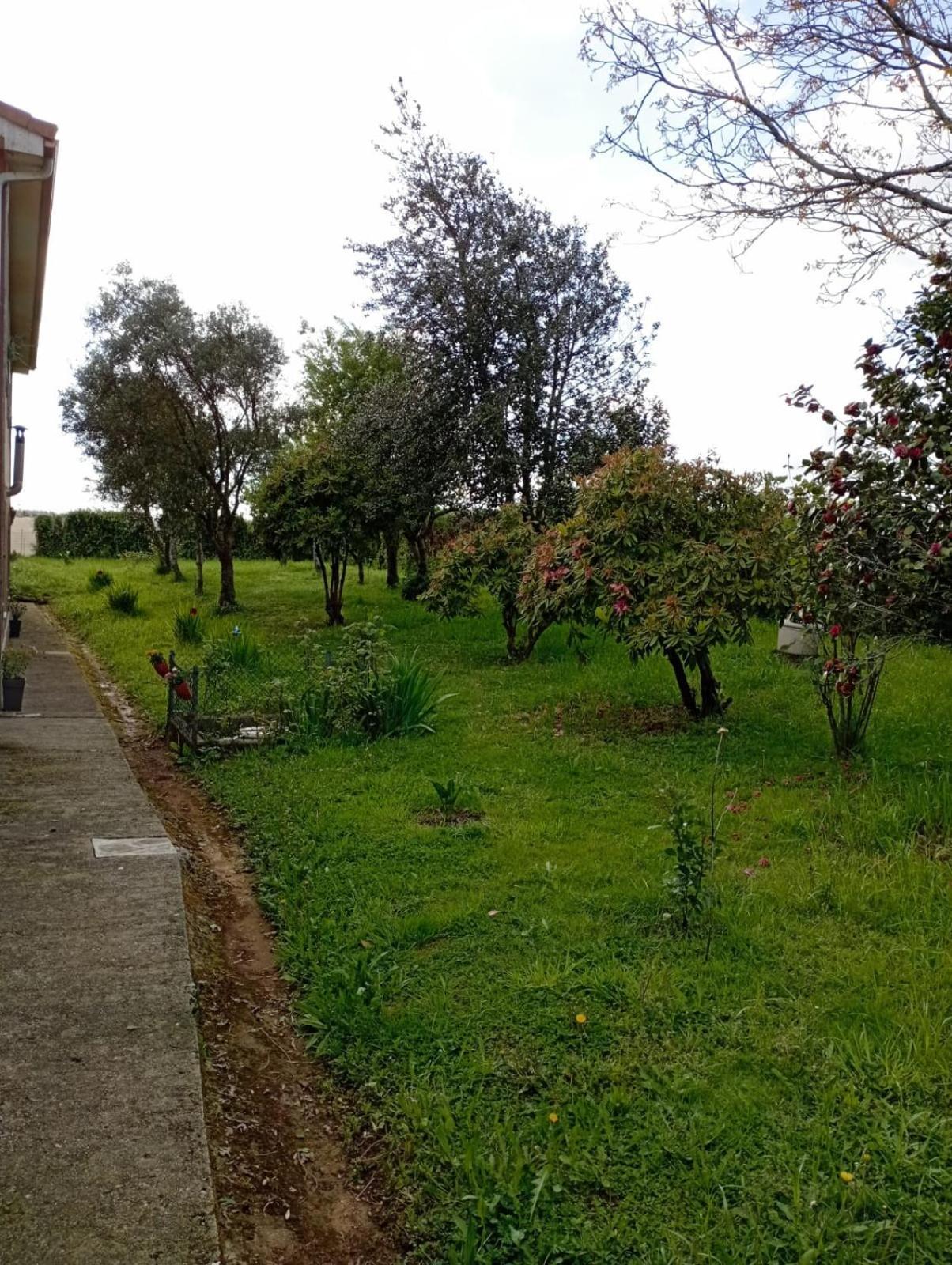 A Casa Do San Paio De Buscas Apartment Ordes Екстериор снимка