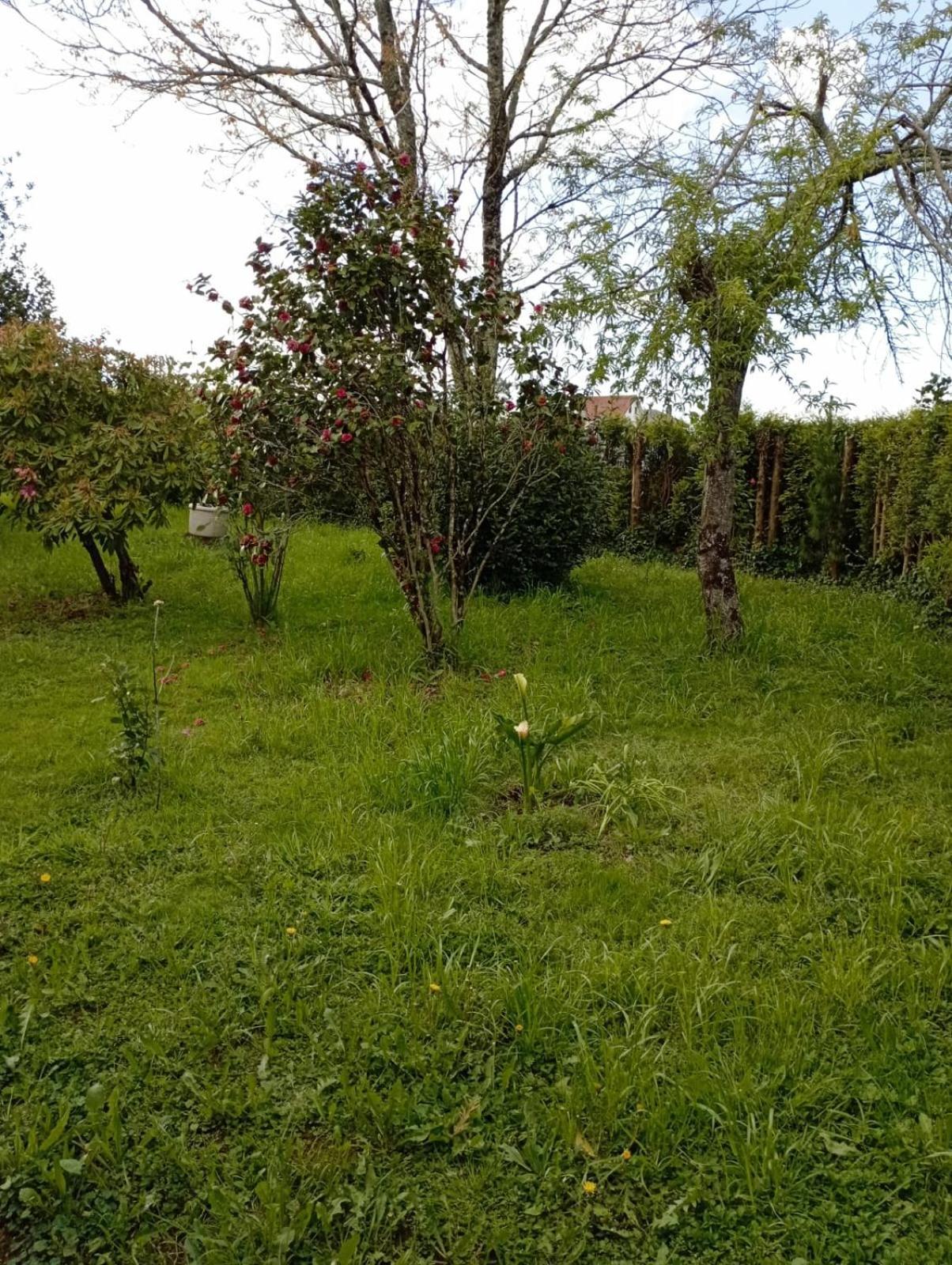 A Casa Do San Paio De Buscas Apartment Ordes Екстериор снимка